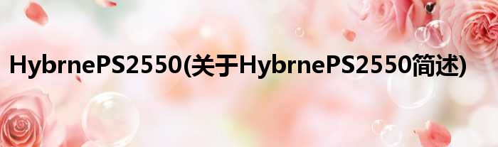 HybrnePS2550(对于HybrnePS2550简述)