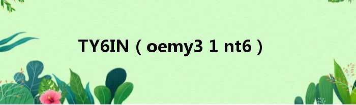 TY6IN（oemy3 1 nt6）
