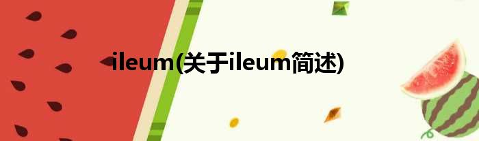 ileum(对于ileum简述)