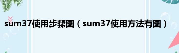 sum37运用步骤图（sum37运用措施有图）