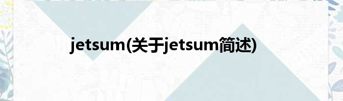 jetsum(对于jetsum简述)
