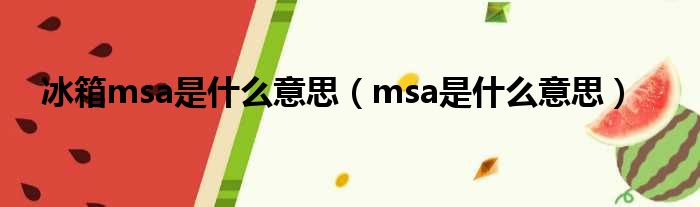 冰箱msa是甚么意思（msa是甚么意思）
