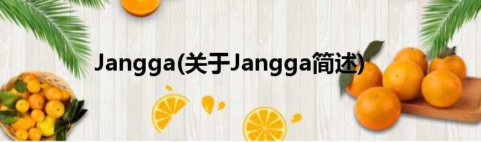 Jangga(对于Jangga简述)