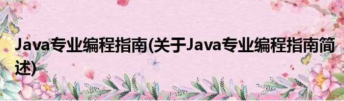 Java业余编程指南(对于Java业余编程指南简述)
