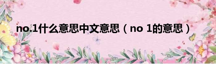 no.1甚么意思中文意思（no 1的意思）