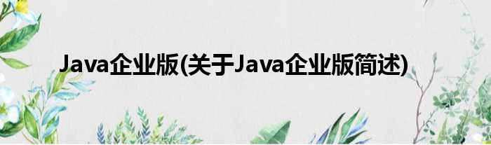 Java企业版(对于Java企业版简述)