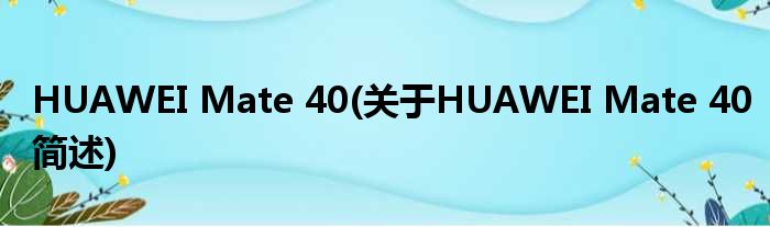 HUAWEI Mate 40(对于HUAWEI Mate 40简述)