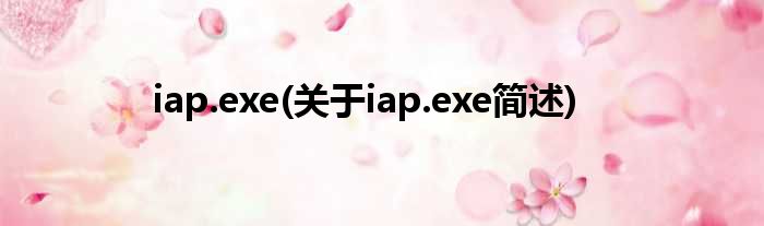 iap.exe(对于iap.exe简述)