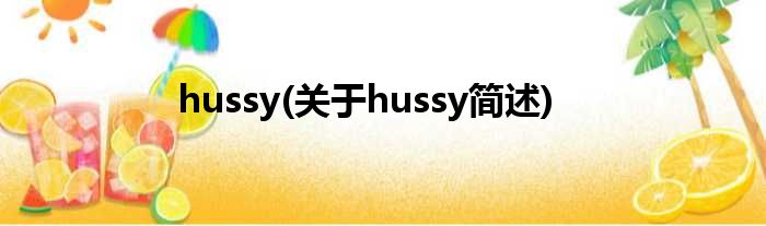 hussy(对于hussy简述)