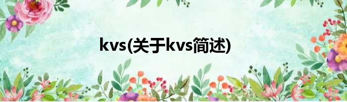 kvs(对于kvs简述)