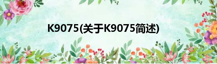 K9075(对于K9075简述)
