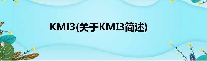 KMI3(对于KMI3简述)