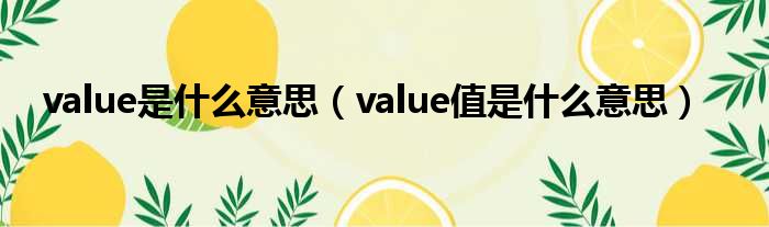 value是甚么意思（value值是甚么意思）