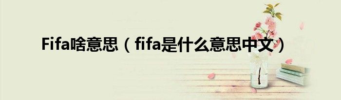 Fifa啥意思（fifa是甚么意思中文）