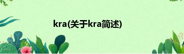 kra(对于kra简述)