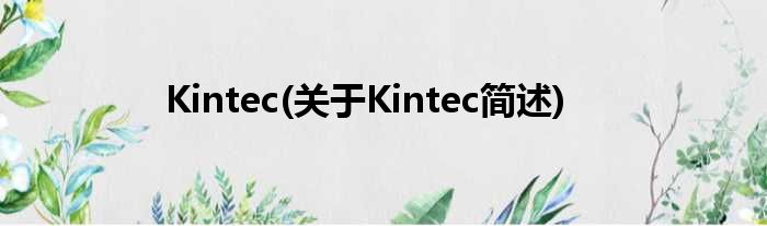 Kintec(对于Kintec简述)