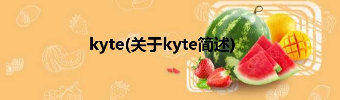 kyte(对于kyte简述)