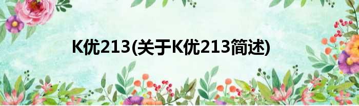 K优213(对于K优213简述)