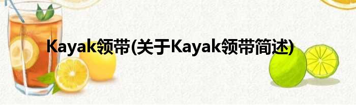 Kayak领带(对于Kayak领带简述)