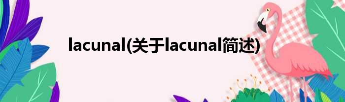 lacunal(对于lacunal简述)