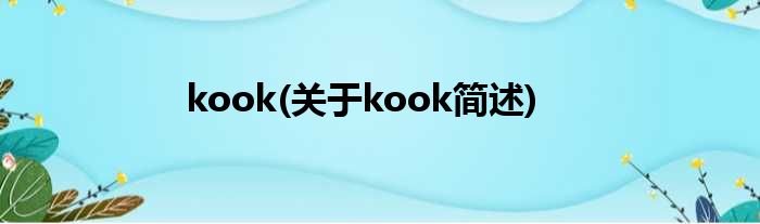 kook(对于kook简述)
