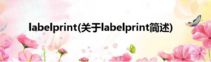 labelprint(对于labelprint简述)