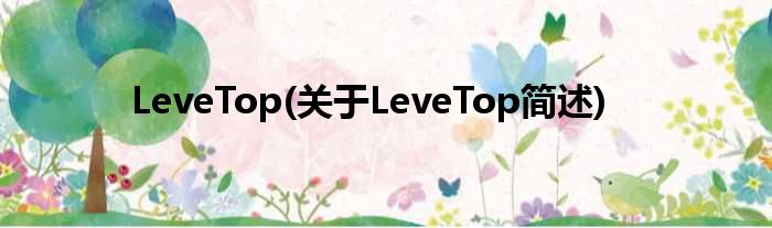 LeveTop(对于LeveTop简述)