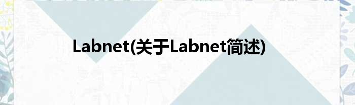 Labnet(对于Labnet简述)