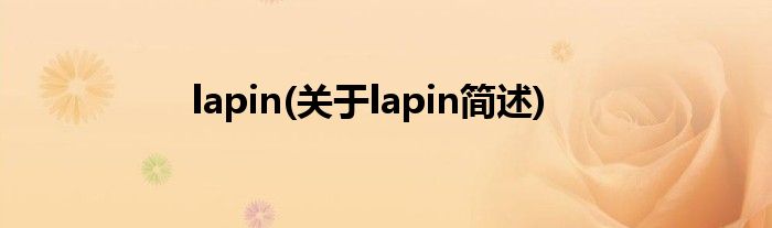 lapin(对于lapin简述)