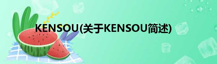 KENSOU(对于KENSOU简述)