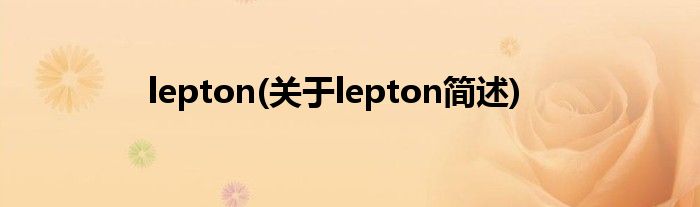lepton(对于lepton简述)
