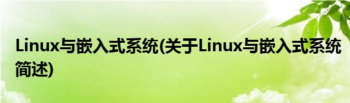 Linux与嵌入式零星(对于Linux与嵌入式零星简述)