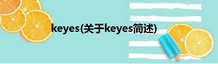 keyes(对于keyes简述)