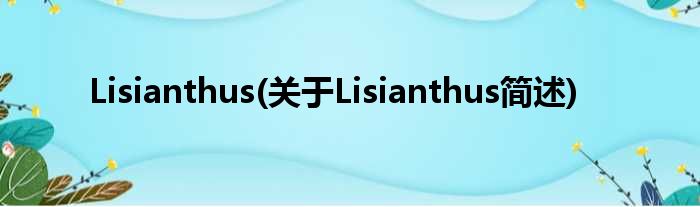 Lisianthus(对于Lisianthus简述)