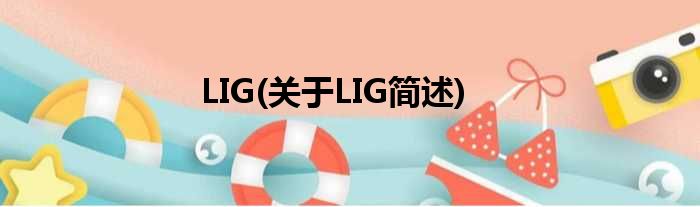 LIG(对于LIG简述)