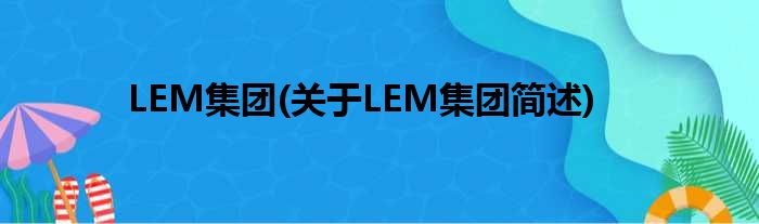 LEM总体(对于LEM总体简述)
