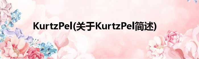 KurtzPel(对于KurtzPel简述)
