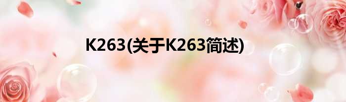 K263(对于K263简述)