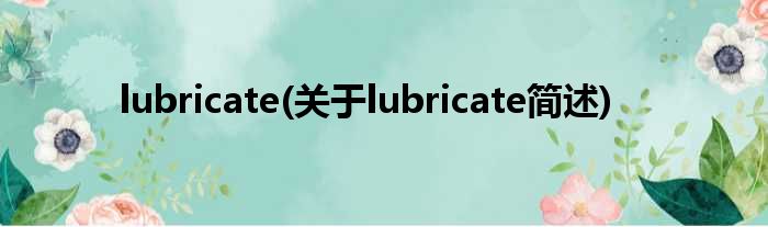 lubricate(对于lubricate简述)
