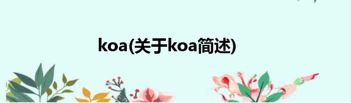 koa(对于koa简述)