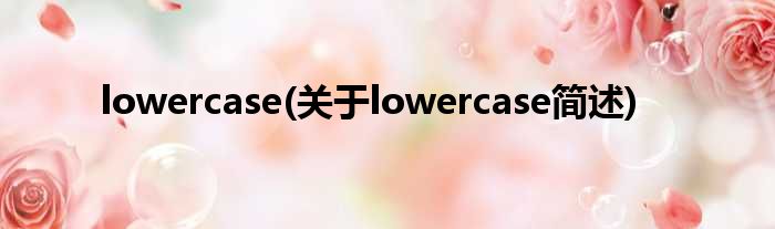 lowercase(对于lowercase简述)