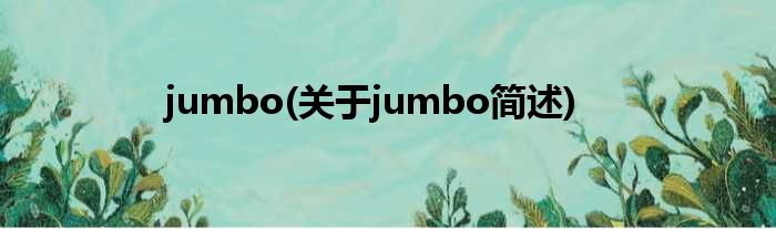 jumbo(对于jumbo简述)