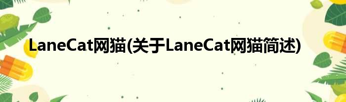 LaneCat网猫(对于LaneCat网猫简述)