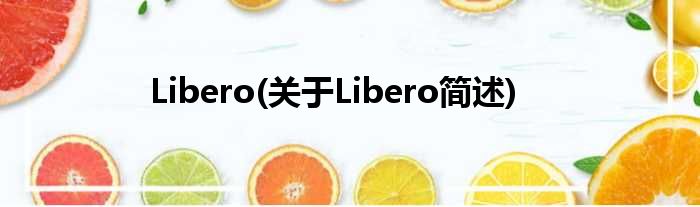 Libero(对于Libero简述)
