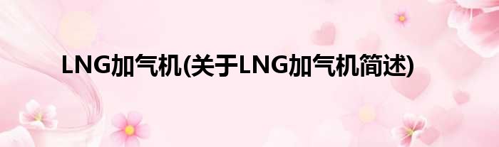 LNG加气机(对于LNG加气机简述)