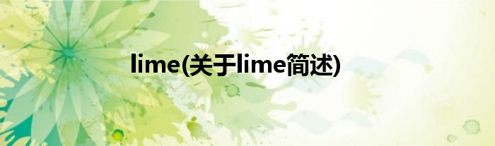 lime(对于lime简述)