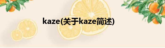 kaze(对于kaze简述)