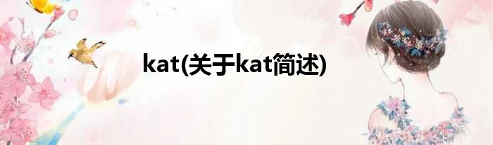 kat(对于kat简述)
