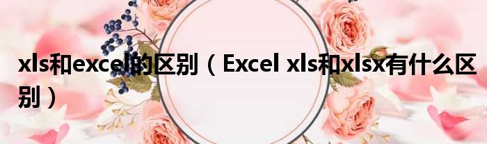 xls以及excel的差距（Excel xls以及xlsx有甚么差距）