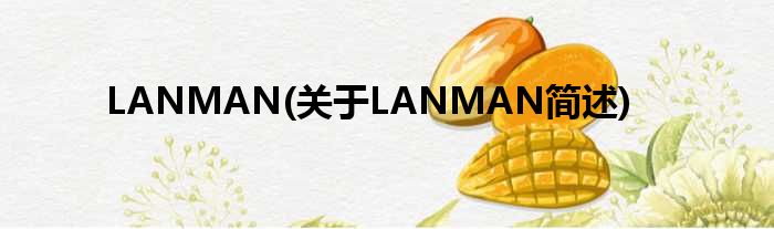 LANMAN(对于LANMAN简述)